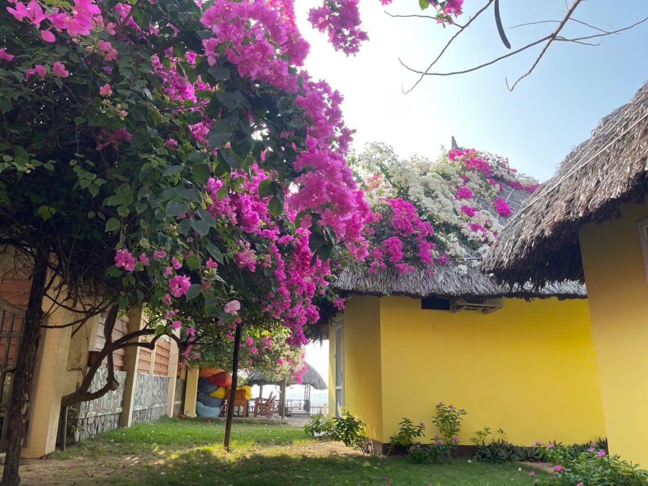 Orchid Boutique Beach Resort Phan Thiet Eksteriør bilde