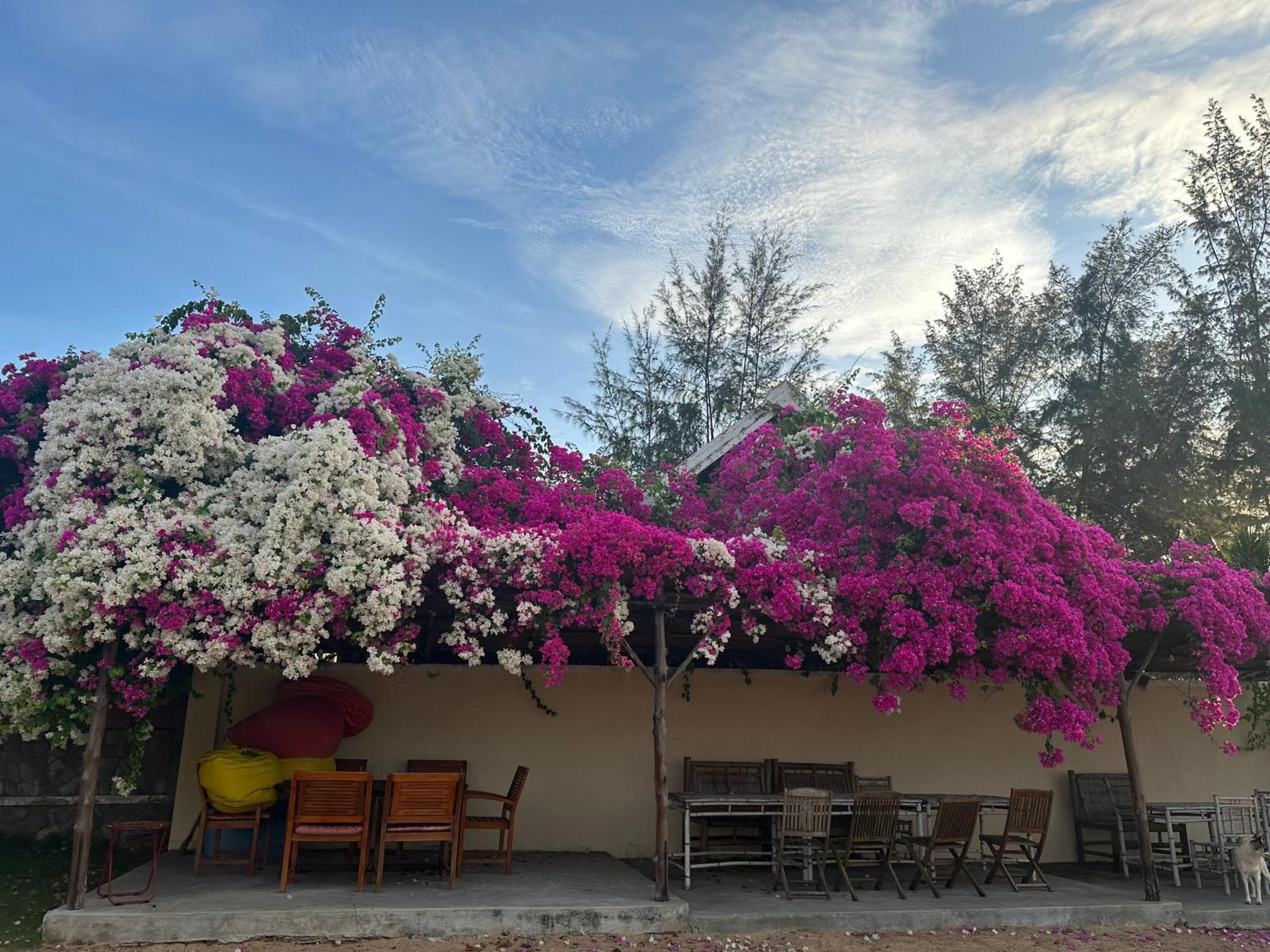 Orchid Boutique Beach Resort Phan Thiet Eksteriør bilde