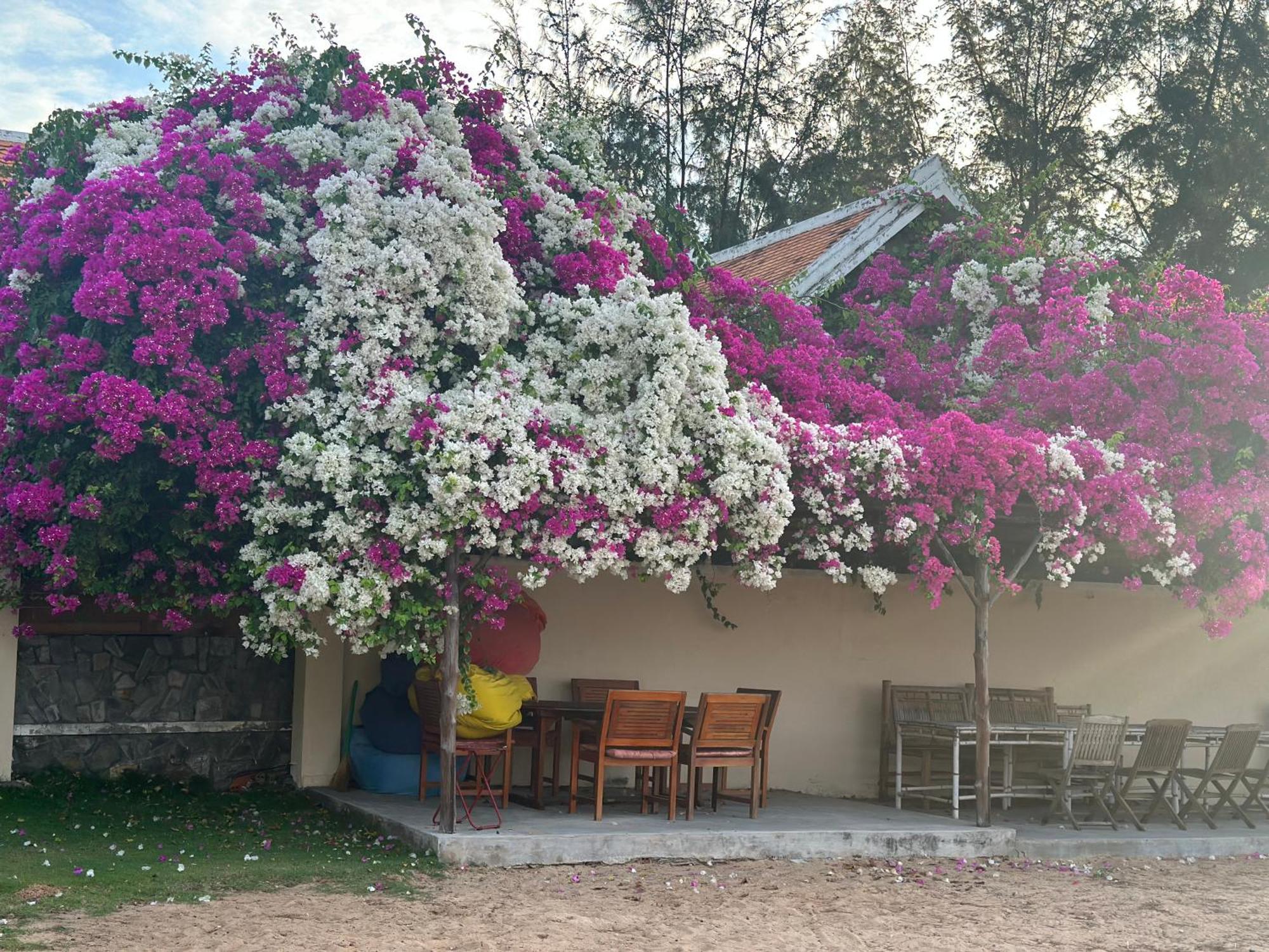 Orchid Boutique Beach Resort Phan Thiet Eksteriør bilde